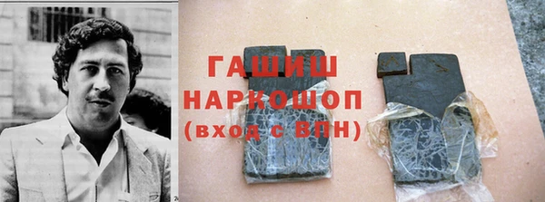 прущие грибы Коряжма