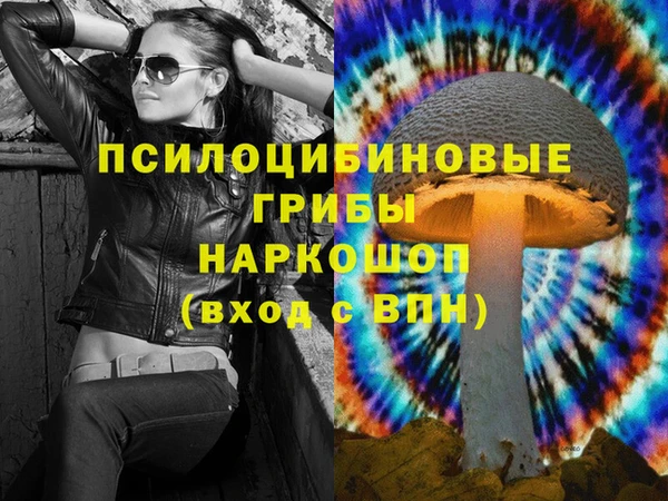 прущие грибы Коряжма