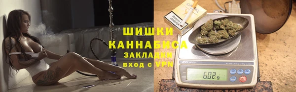 прущие грибы Коряжма