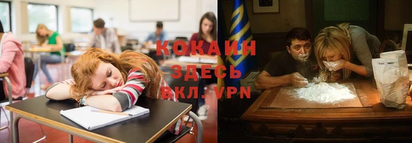 прущие грибы Коряжма