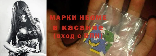 прущие грибы Коряжма