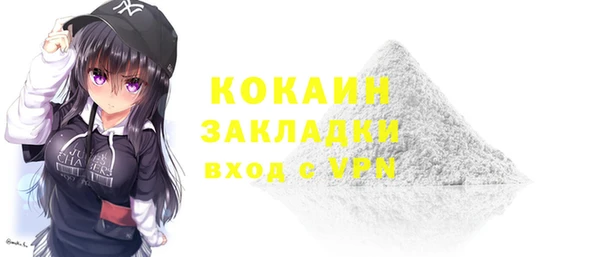 прущие грибы Коряжма
