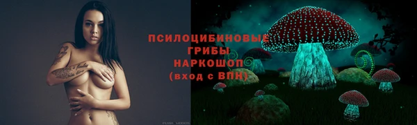 мдпв Костерёво
