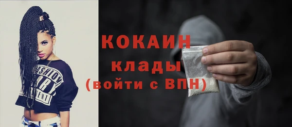 прущие грибы Коряжма