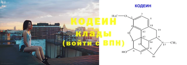 прущие грибы Коряжма