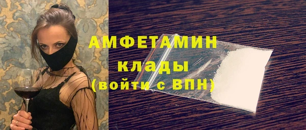 прущие грибы Коряжма