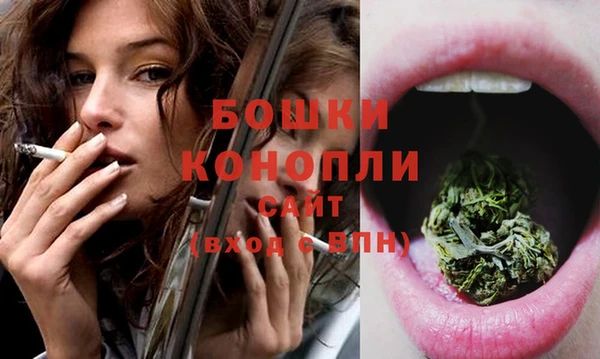 прущие грибы Коряжма