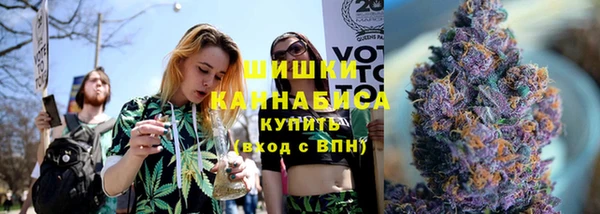 мдпв Костерёво