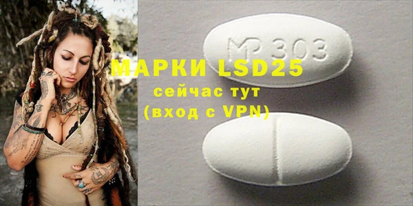 прущие грибы Коряжма